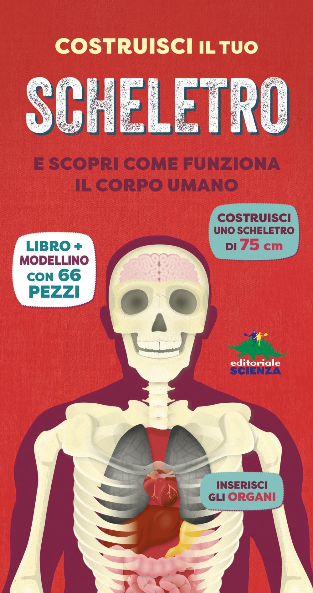 Costruisci il tuo scheletro e scopri come funziona il corpo umano. Ediz. a colori. Con modellino da costruire book