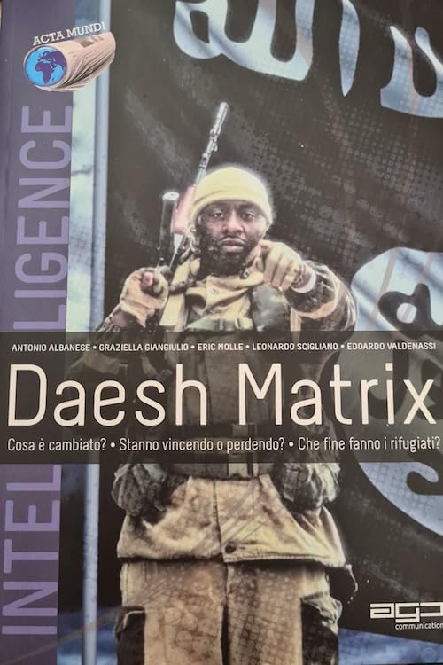 Daesh Matrix. Cosa è cambiato? Stanno vincendo o perdendo? Che fine fanno i rifugiati? book