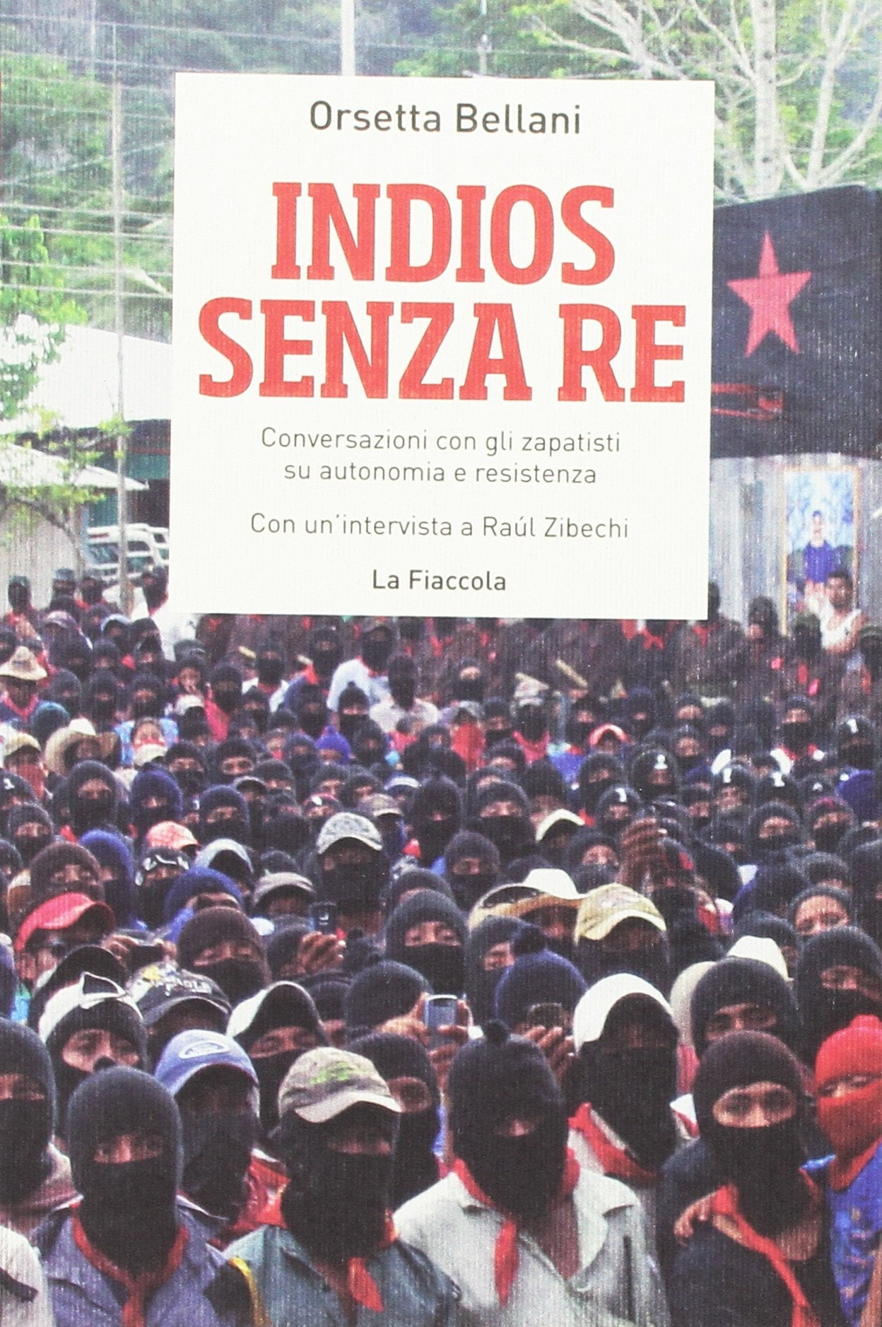 Indios senza re. Conversazioni con gli zapatisti su autonomia e resistenza book