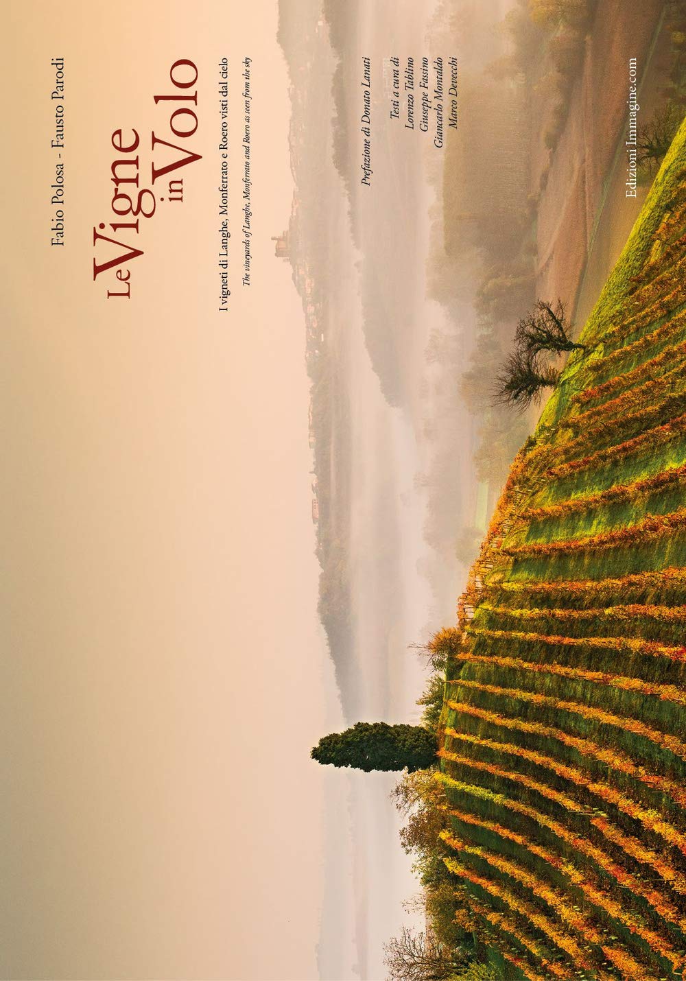 Le vigne in volo. I vigneti di Langhe, Monferrato e Roero visti dal cielo. Ediz. italiana e inglese Photography