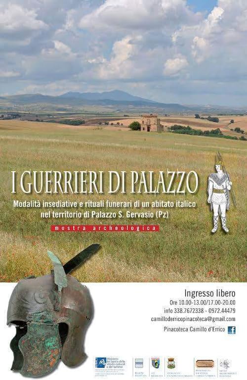 I guerrieri di Palazzo. Modalità insediative e rituali funerari di un abitato italico nel territorio di Palazzo San Gervasio (PZ) book