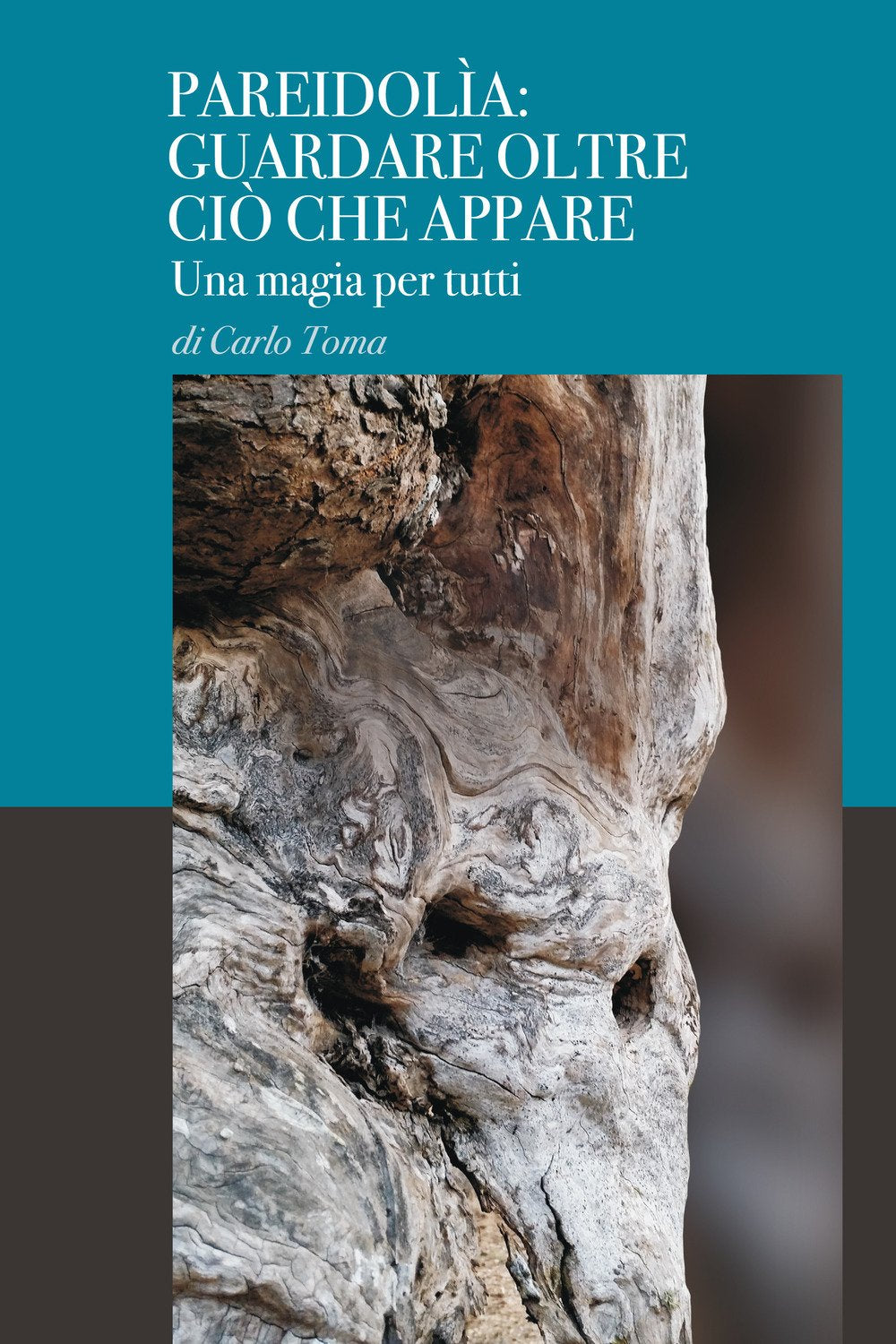 Pareidolìa: guardare oltre ciò che appare. Una magia per tutti. Ediz. italiana e inglese book