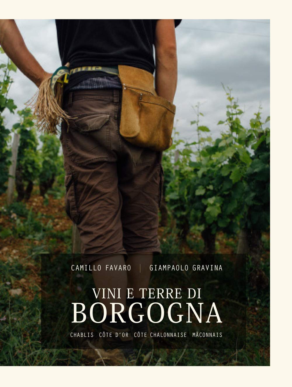 Vini e terre di Borgogna. Chablis, Côte d’Or, Côte Chalonnaise, Mâconnais. Ediz. critica Leisure, Home & Garden