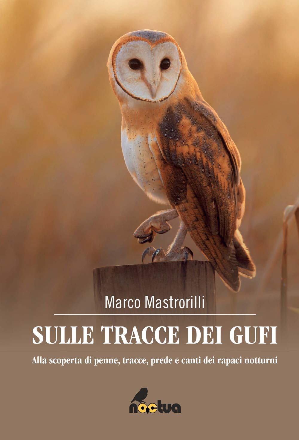 Sulle tracce dei gufi. Alla scoperta di penne, tracce, prede e canti dei rapaci notturni book