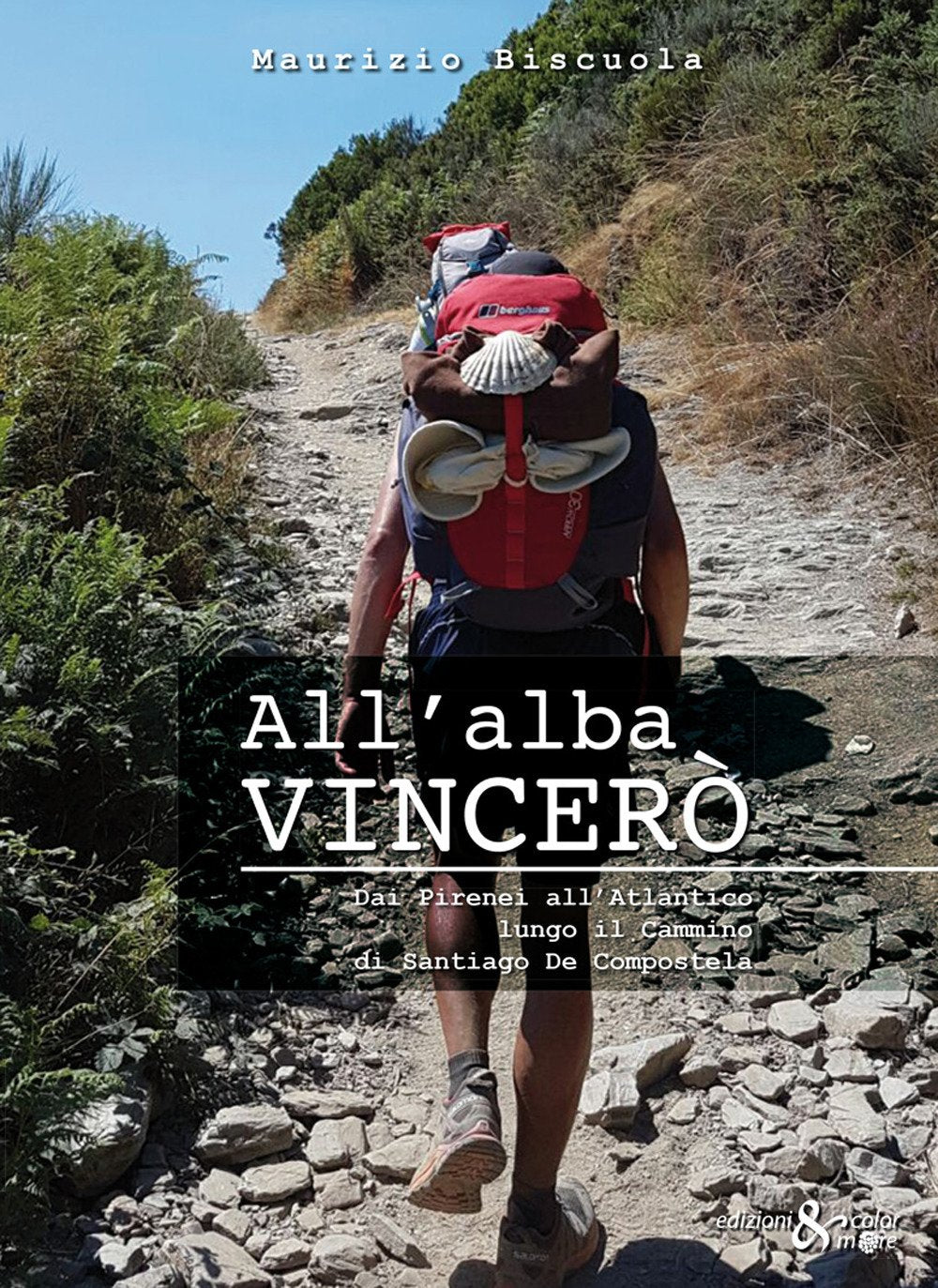 All'alba vincerò. Dai Pirenei all’Atlantico lungo il Cammino di Santiago De Compostela book