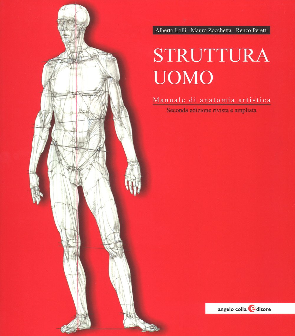 Struttura uomo. Manuale di anatomia artistica. Nuova ediz. book