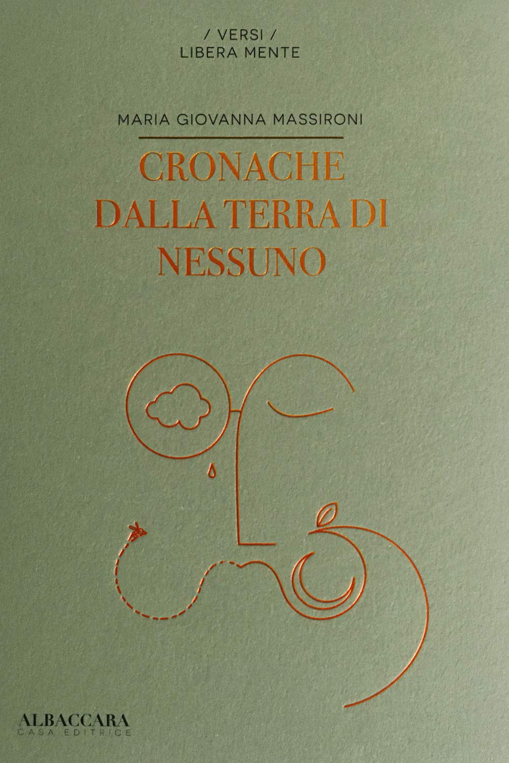 Cronache dalla terra di nessuno book