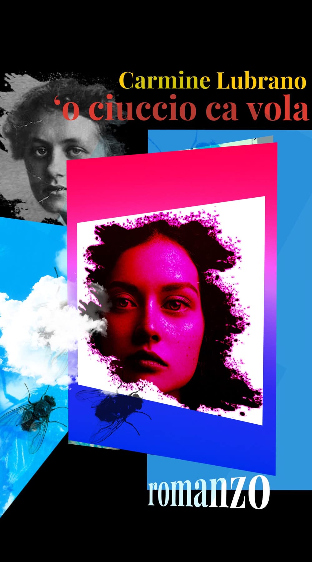 ‘O ciuccio ca vola. Il romanzo di AnnArosa book