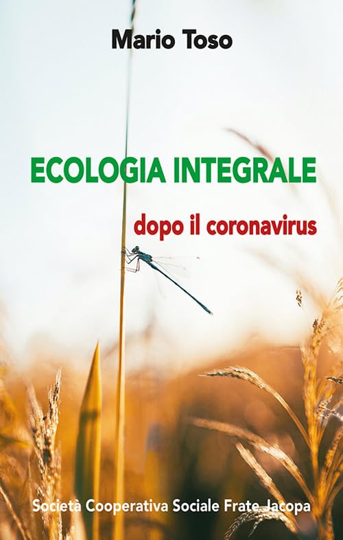 Ecologia integrale. Dopo il coronavirus book