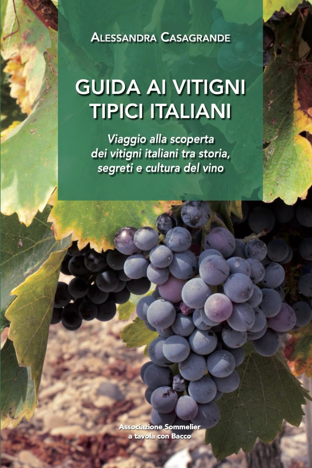 Guida ai vitigni tipici italiani: Viaggio alla scoperta dei vitigni italiani tra storia, segreti e cultura del vino (Libri per Sommelier e Wine Lovers) Leisure, Home & Garden