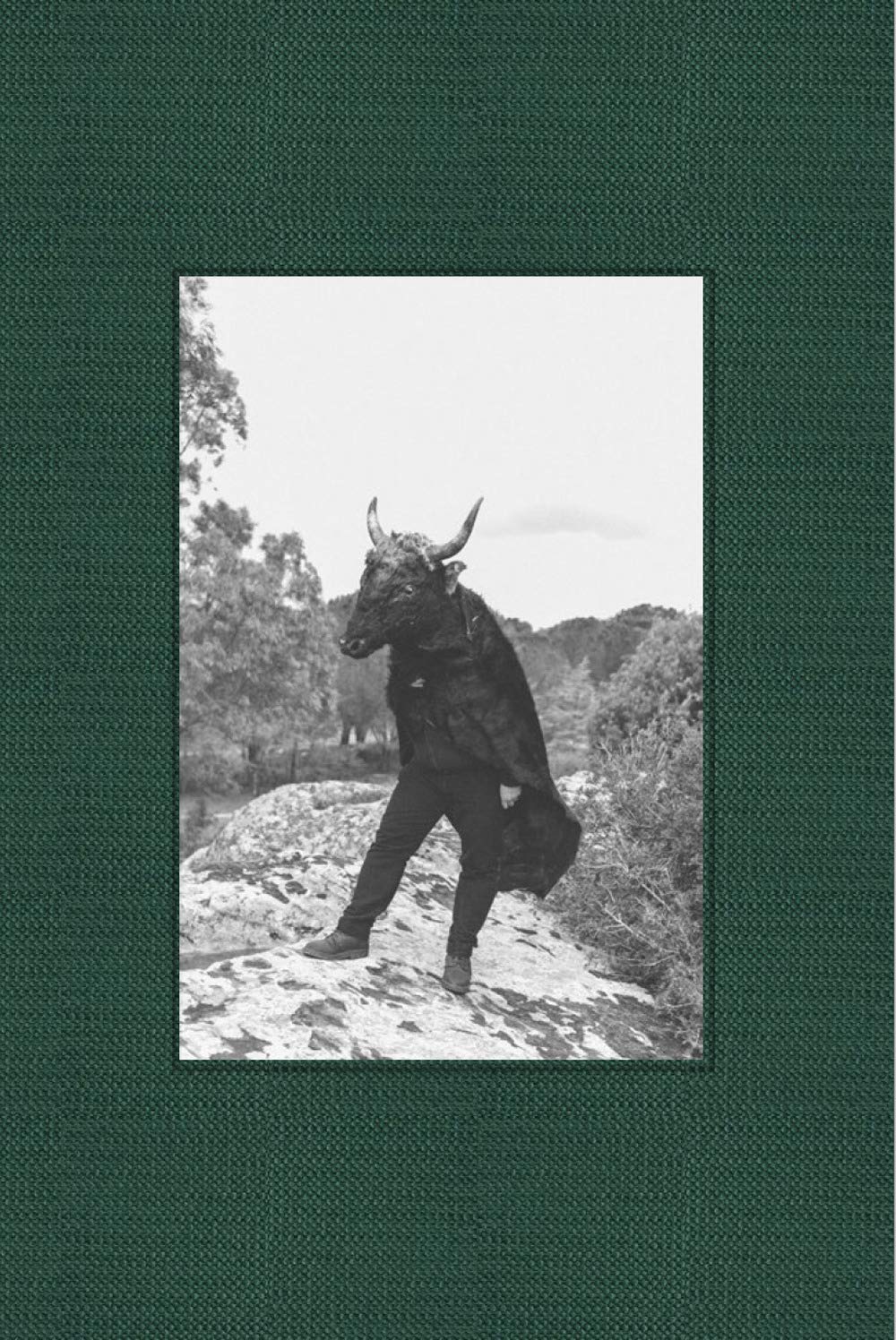 Gli ultrauomini. Terrestri d'Italia in contatto con altre dimensioni Essays & Short Stories