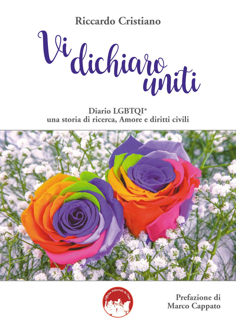 Vi dichiaro uniti. Diario LGBTQI* una storia di ricerca. Amore e diritti civili book