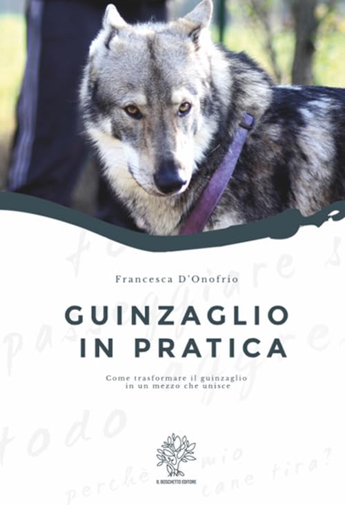 Guinzaglio in pratica. Come trasformare il guinzaglio in un mezzo che unisce (Legàmi) Pets