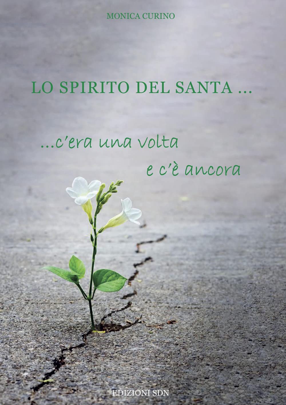Lo spirito del santa... C'era una volta e c'è ancora book