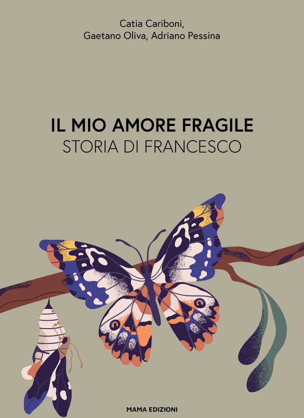 Il mio amore fragile. Storia di Francesco book