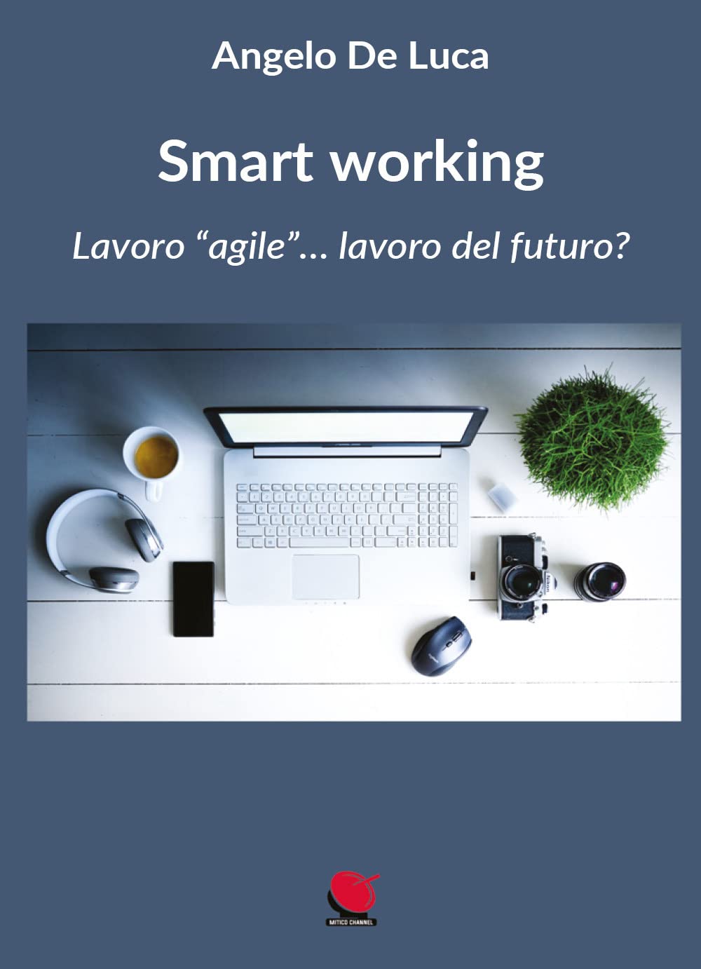 Smart working. Lavoro «agile»... lavoro del futuro? book