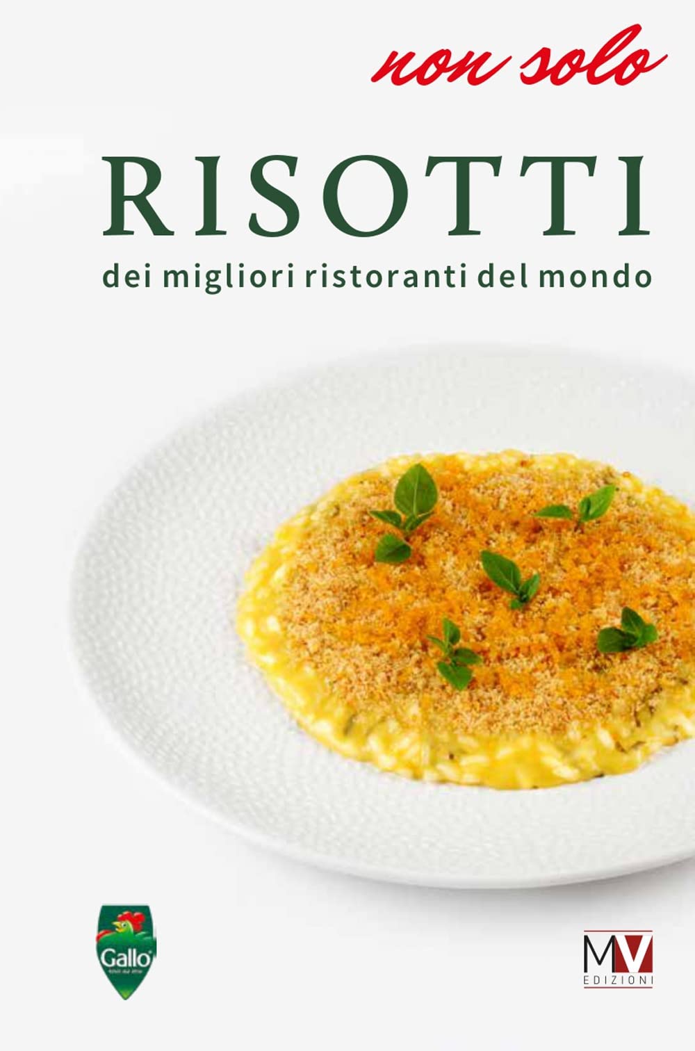 Non solo risotti dei migliori ristoranti nel mondo book