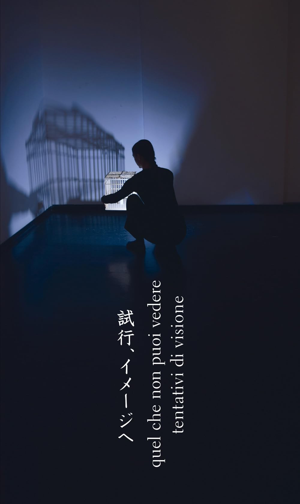 Quel che non puoi vedere/Tentativi di visione. Ediz. speciale Film, Art & Culture