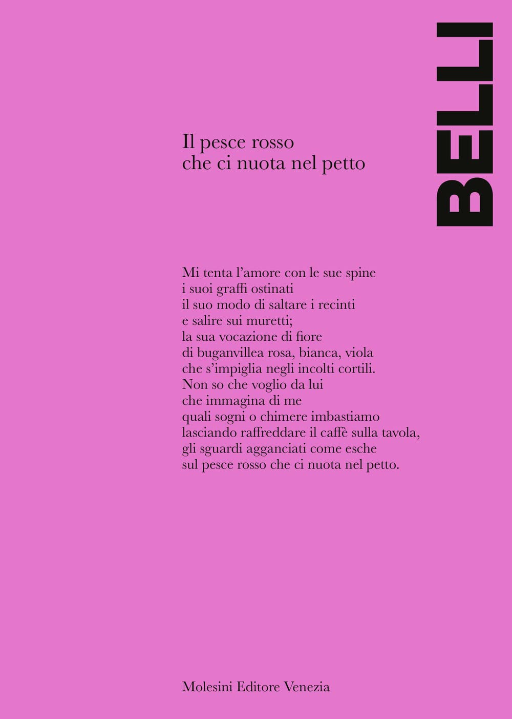 Il pesce rosso che ci nuota nel petto book