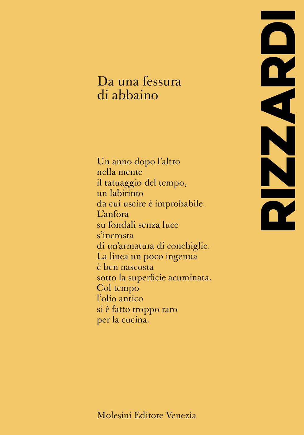 Da una fessura di abbaino Poetry