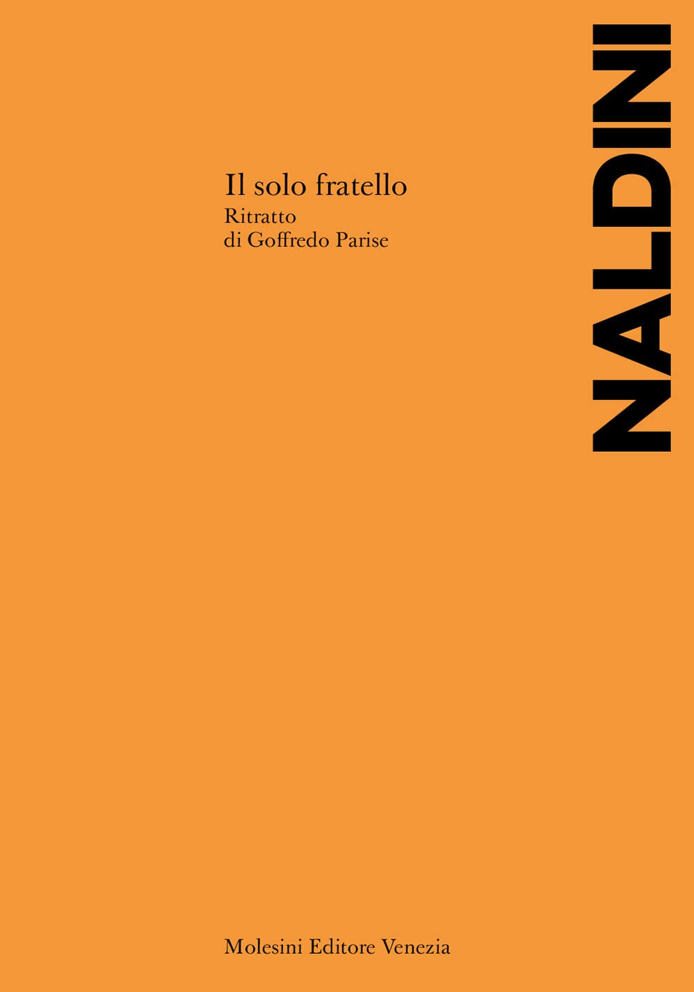 Il solo fratello. Ritratto di Goffredo Parise Contemporary literature