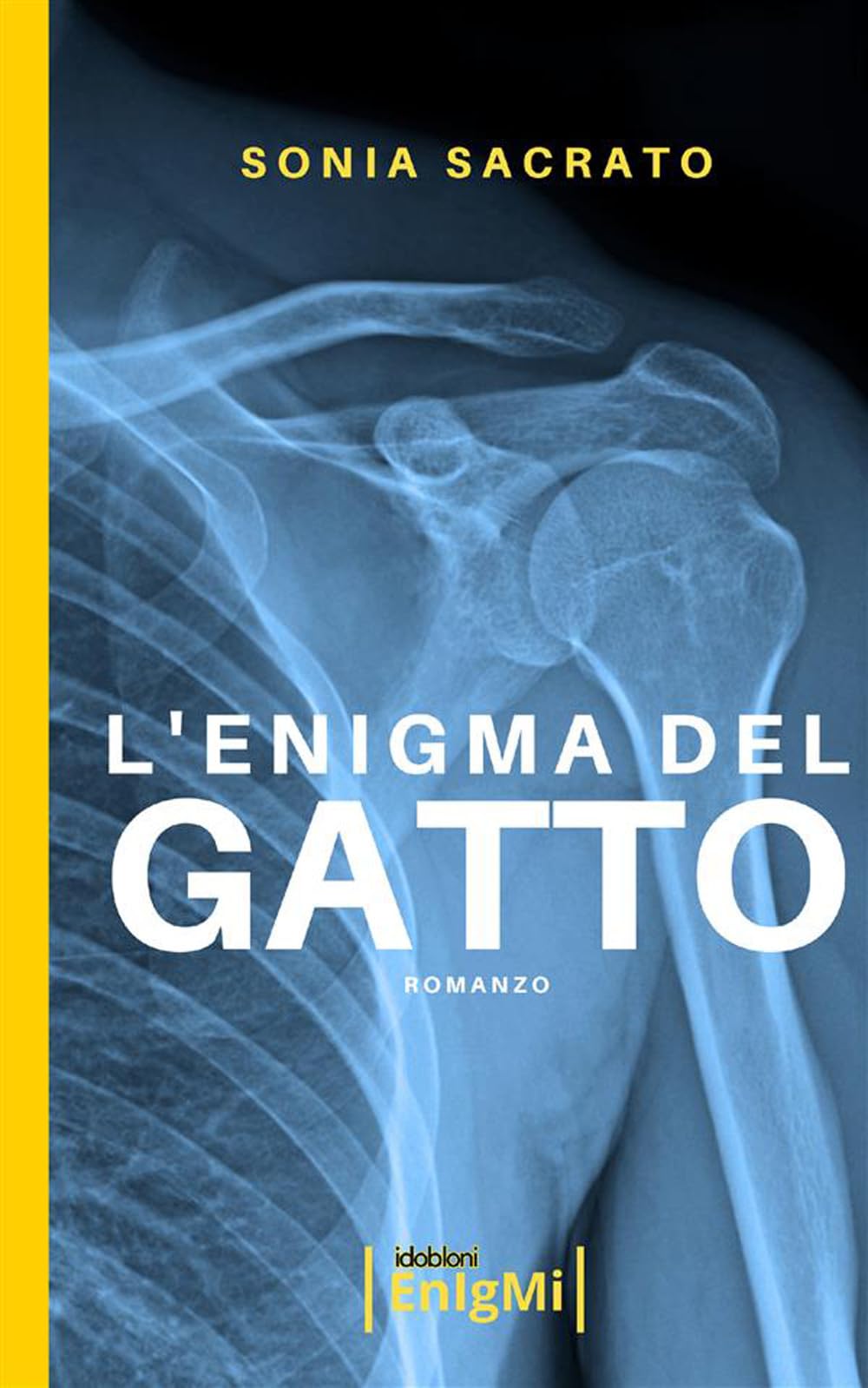 L'enigma del gatto book