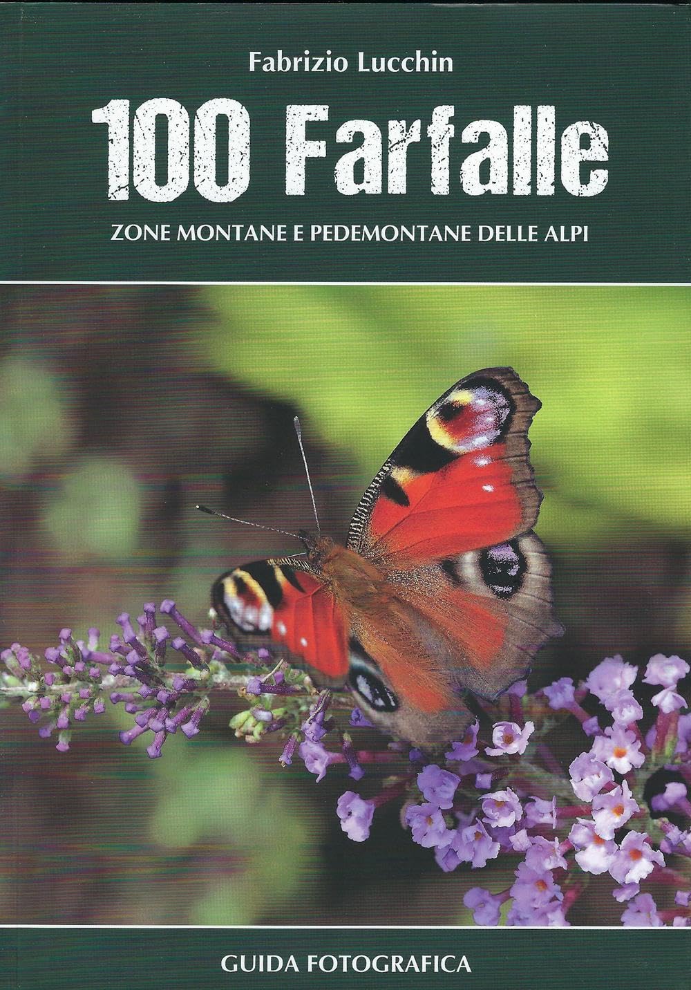 100 farfalle. Zone montane e pedemontane delle Alpi book