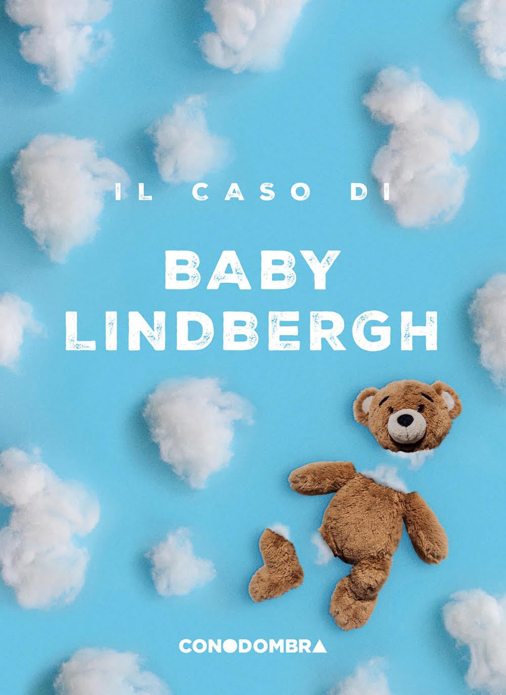 Il caso di Baby Lindbergh book