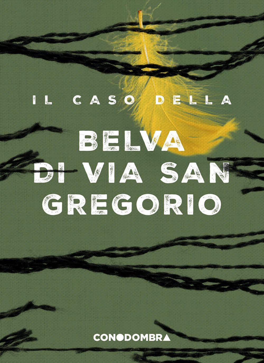 Il caso della Belva di via San Gregorio Crime & Thrillers