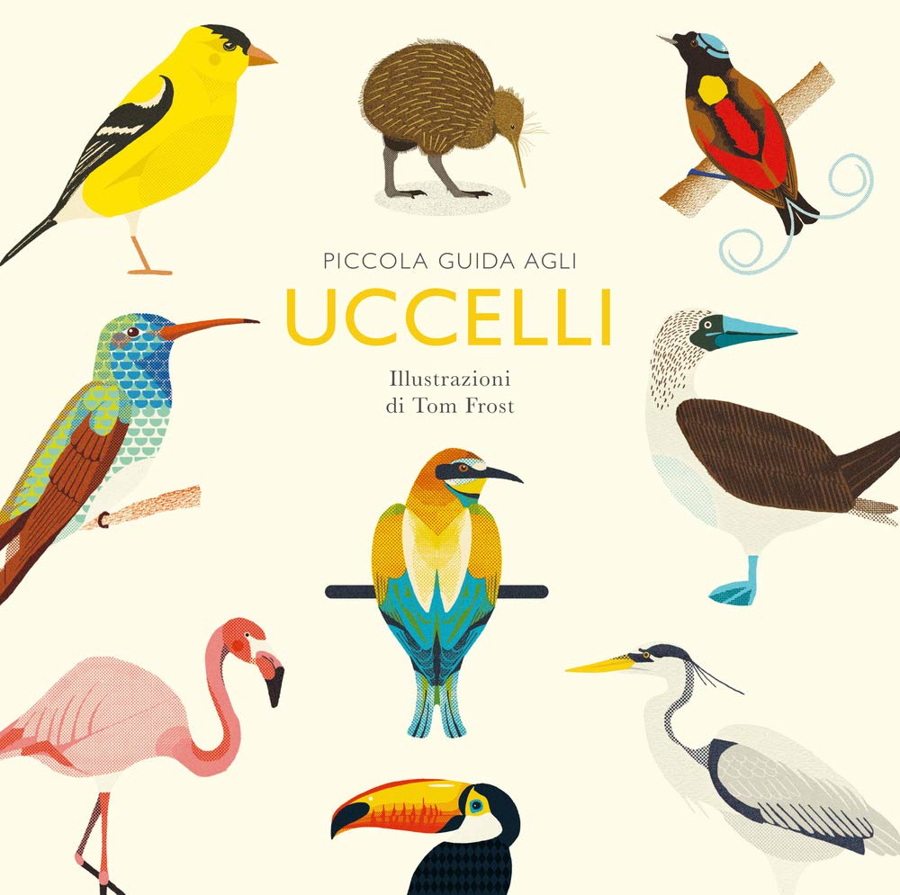Piccola guida agli uccelli. Ediz. illustrata (Nomos illustrati) Leisure, Home & Garden