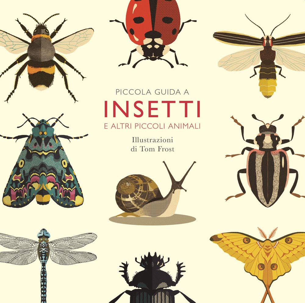 Piccola guida a insetti e altri piccoli animali Non-fiction