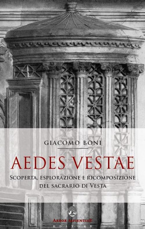 Aedes Vestae. Scoperta, esplorazione e ricomposizione del sacrario di Vesta nel Foro Romano (Antichità romane) Natural Sciences