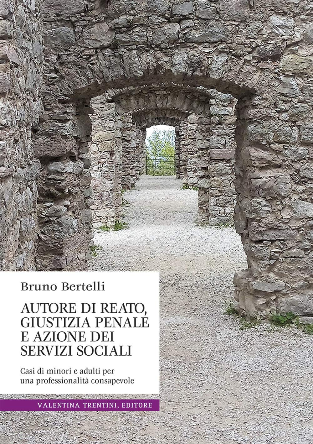 Autore di reato, giustizia penale e azione dei servizi sociali. Casi di minori e adulti per una professionalità consapevole book