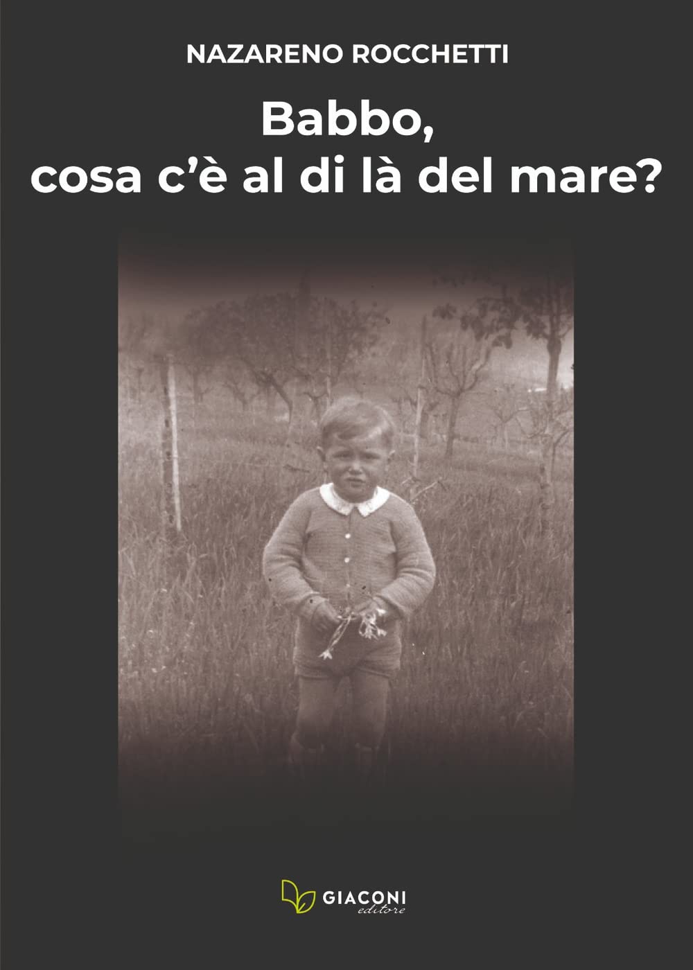 Babbo, cosa c’è al di là del mare? book
