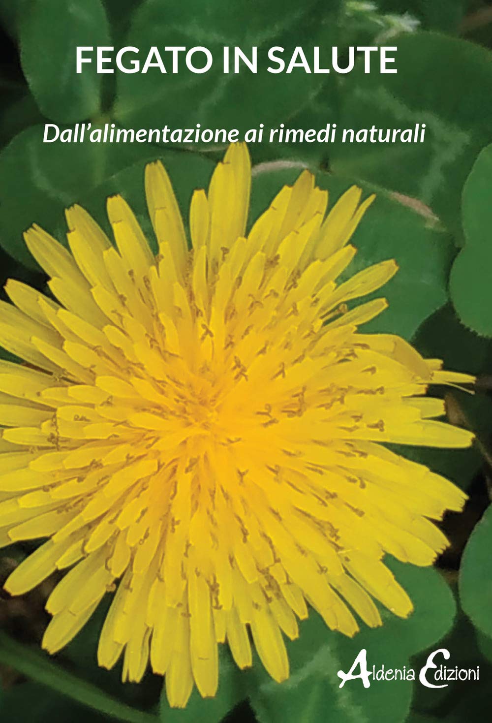 Fegato in salute. Dall’alimentazione ai rimedi naturali (Pratiche di benessere) Books