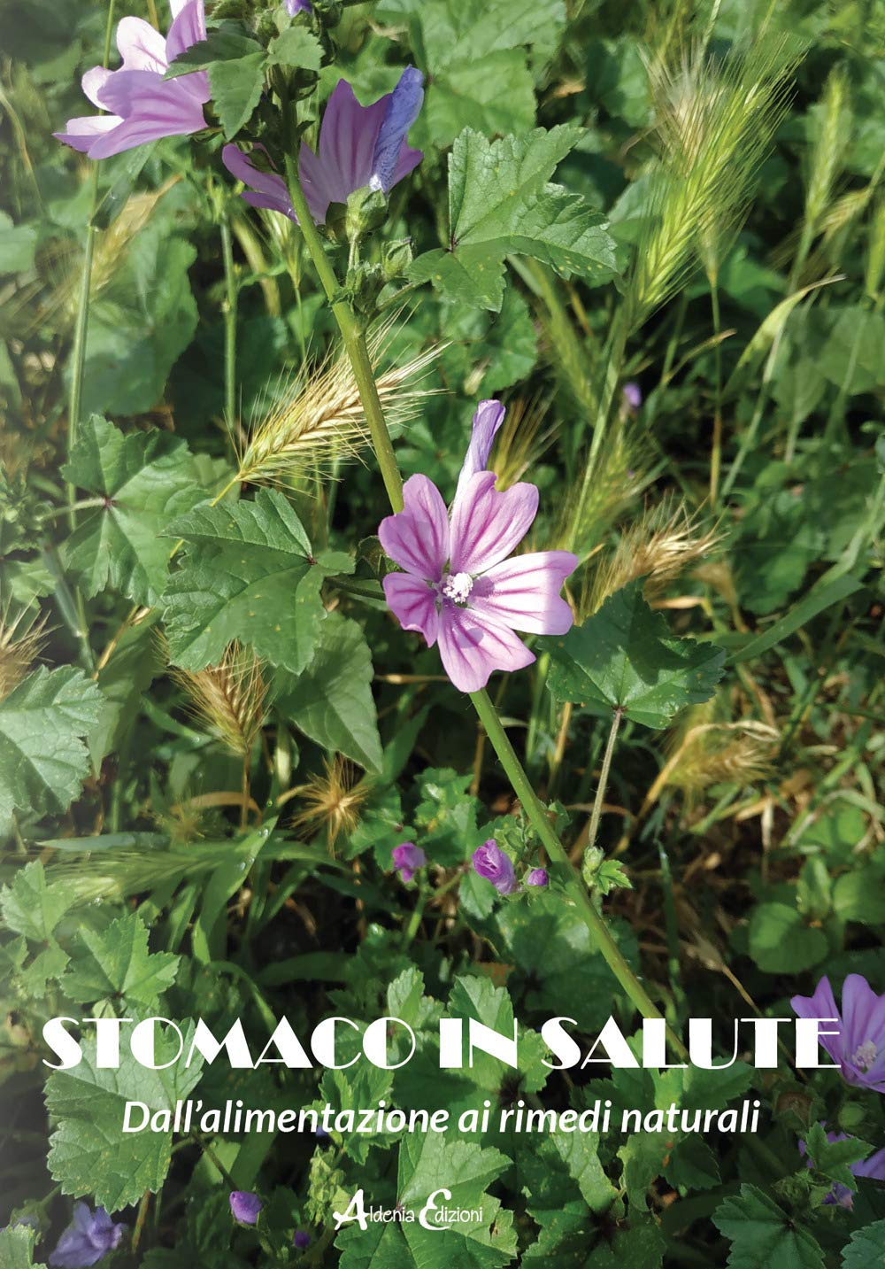 Stomaco in salute. Dall'alimentazione ai rimedi naturali (Pratiche di benessere) Books