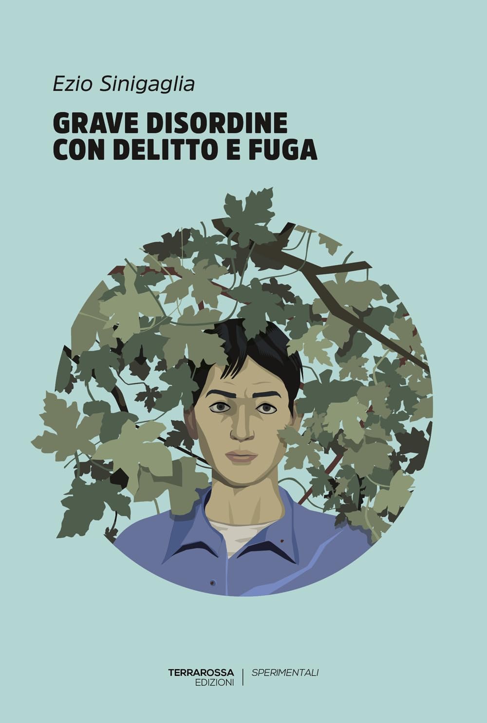 Grave disordine con delitto e fuga book