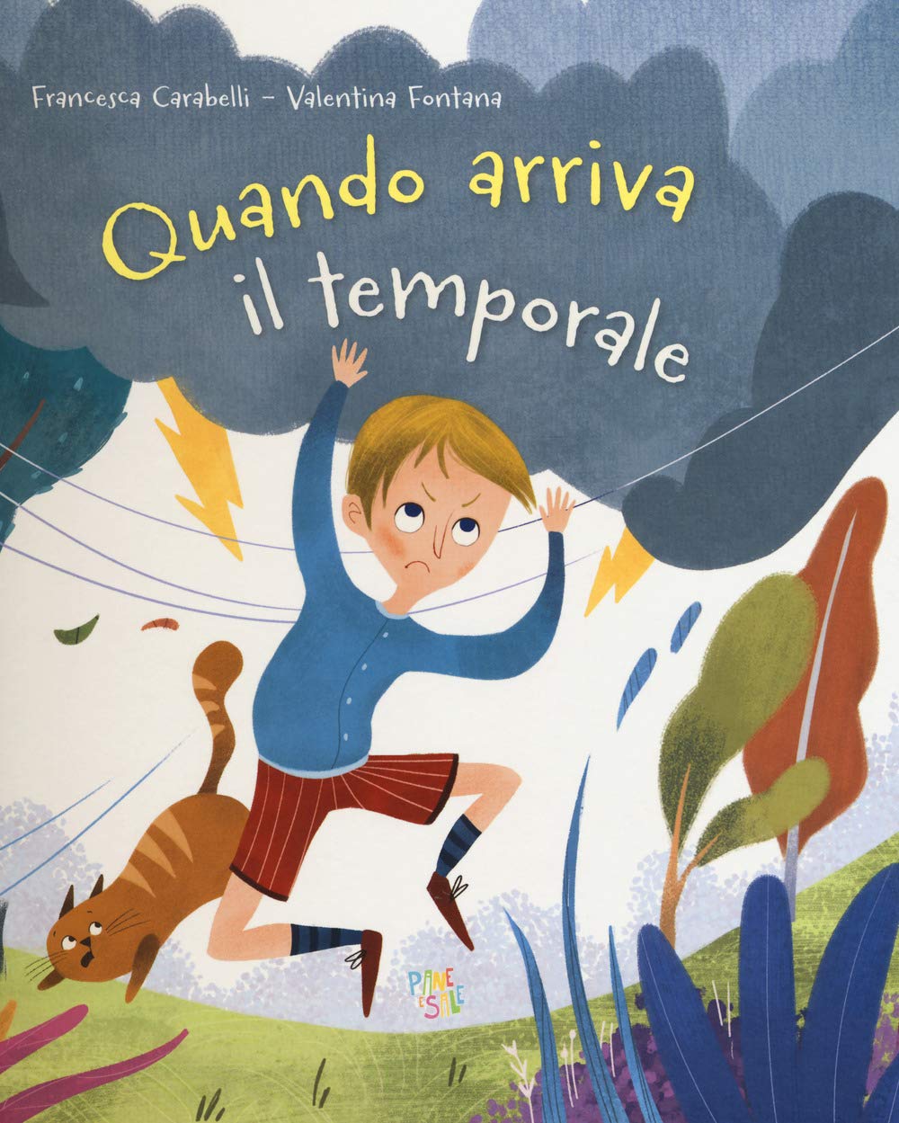 Quando arriva il temporale. Ediz. a colori book