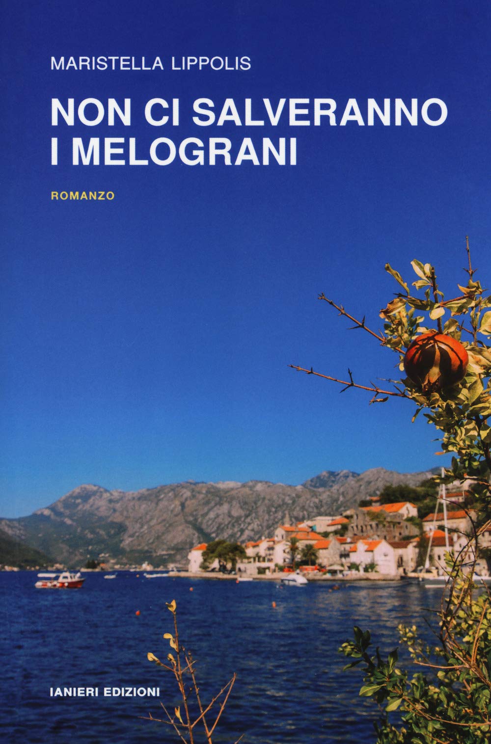 Non ci salveranno i melograni book