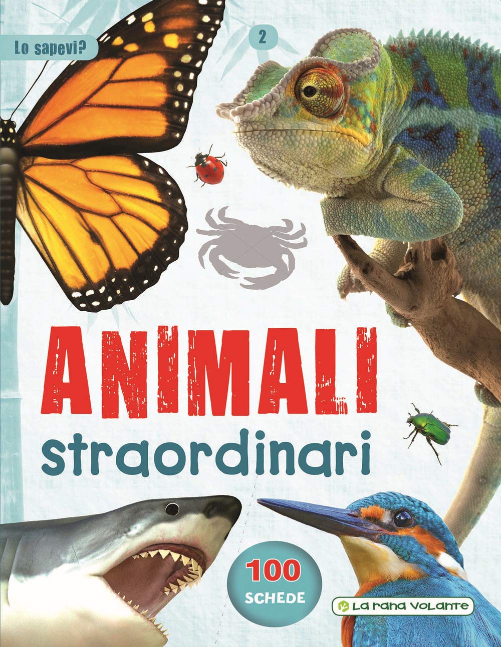 Animali straordinari. Ediz. a colori Non-fiction