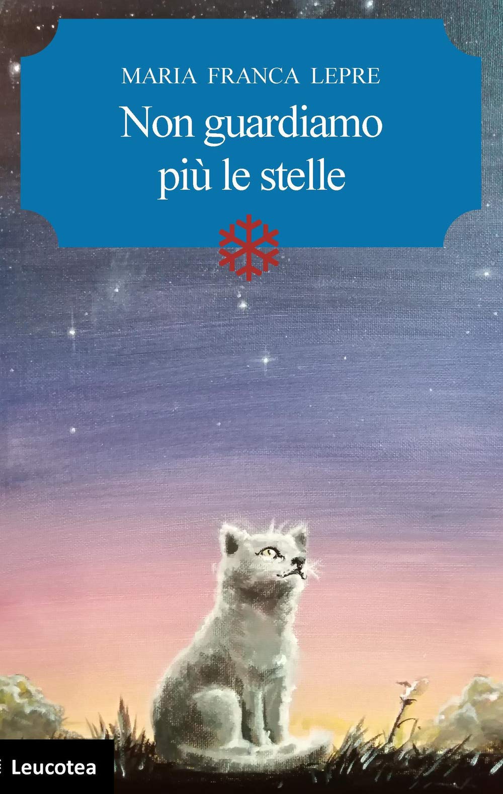 Non guardiamo più le stelle Contemporary literature