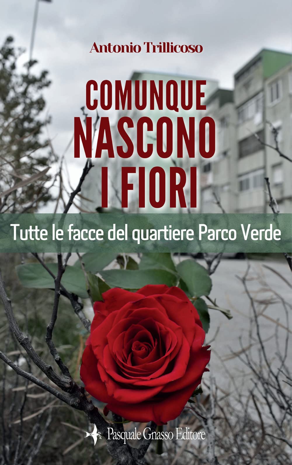 Comunque nascono i fiori. Tutte le facce del quartiere Parco Verde. Nuova ediz. book