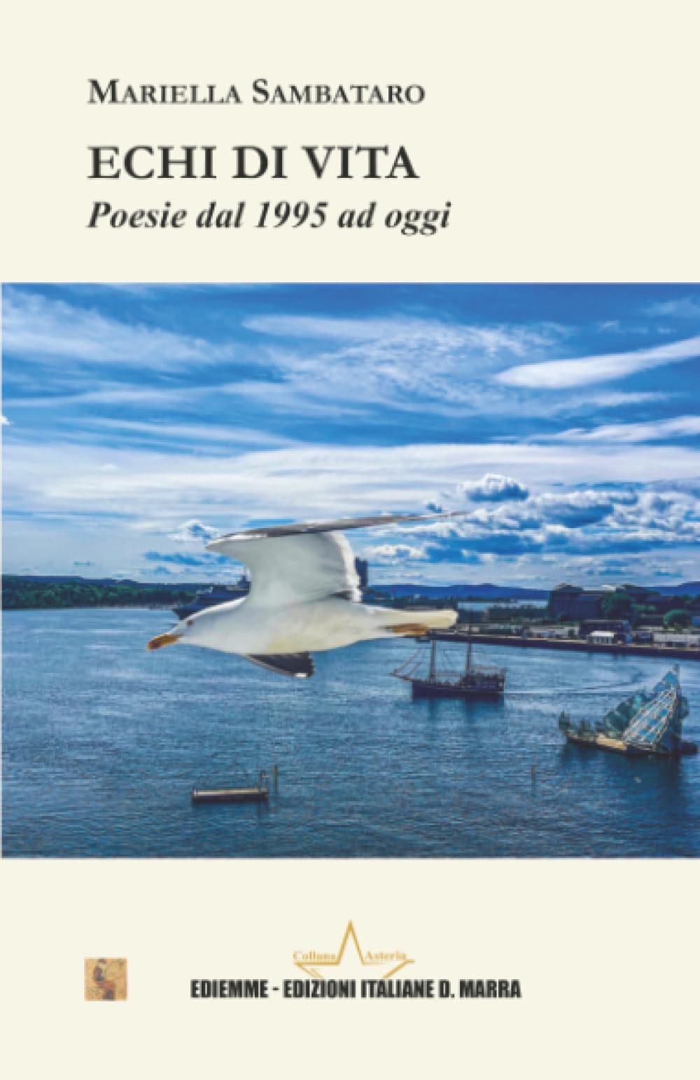 Echi di vita: Poesie dal 1995 ad oggi book
