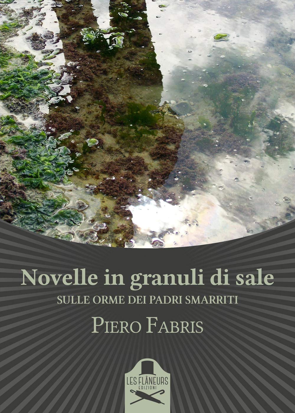 Novelle in granuli di sale. Sulle orme dei padri smarriti book