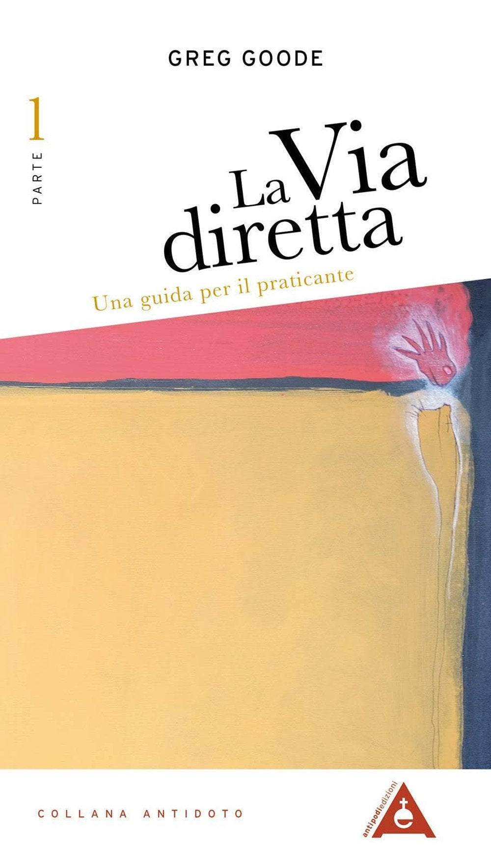 La via diretta. Una guida per il praticante (Vol. 1) book