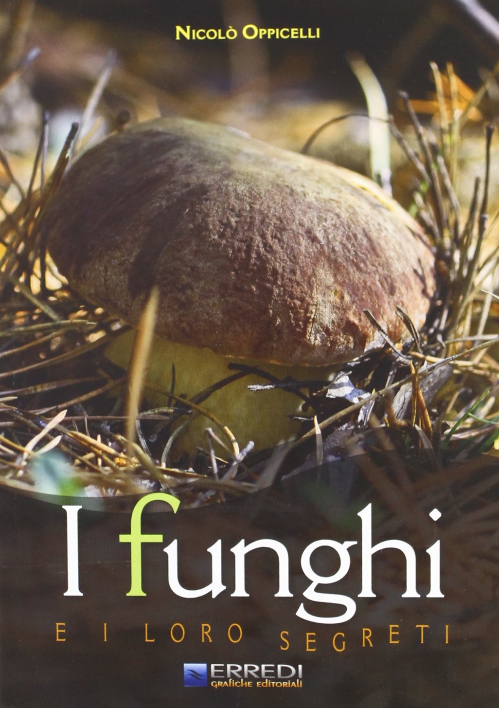 I funghi e i loro segreti book