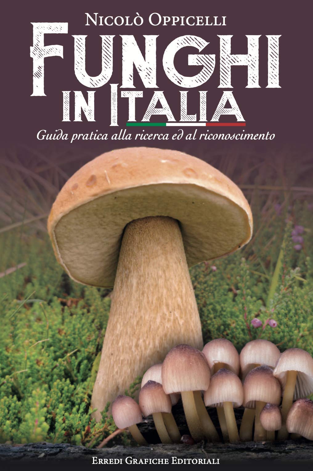 Funghi in Italia. Guida pratica alla ricerca e al riconoscimento book