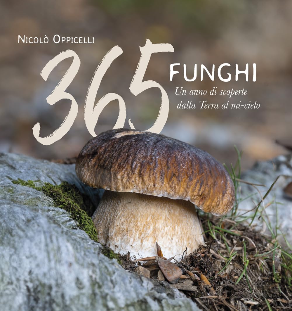 365 funghi. Un anno di scoperte dalla terra al mi-cielo book