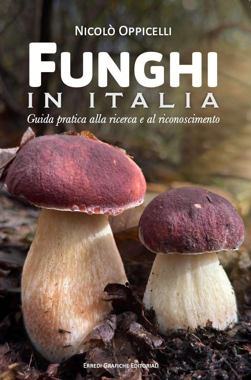 Funghi in Italia. Guida pratica alla ricerca e al riconoscimento Leisure, Home & Garden