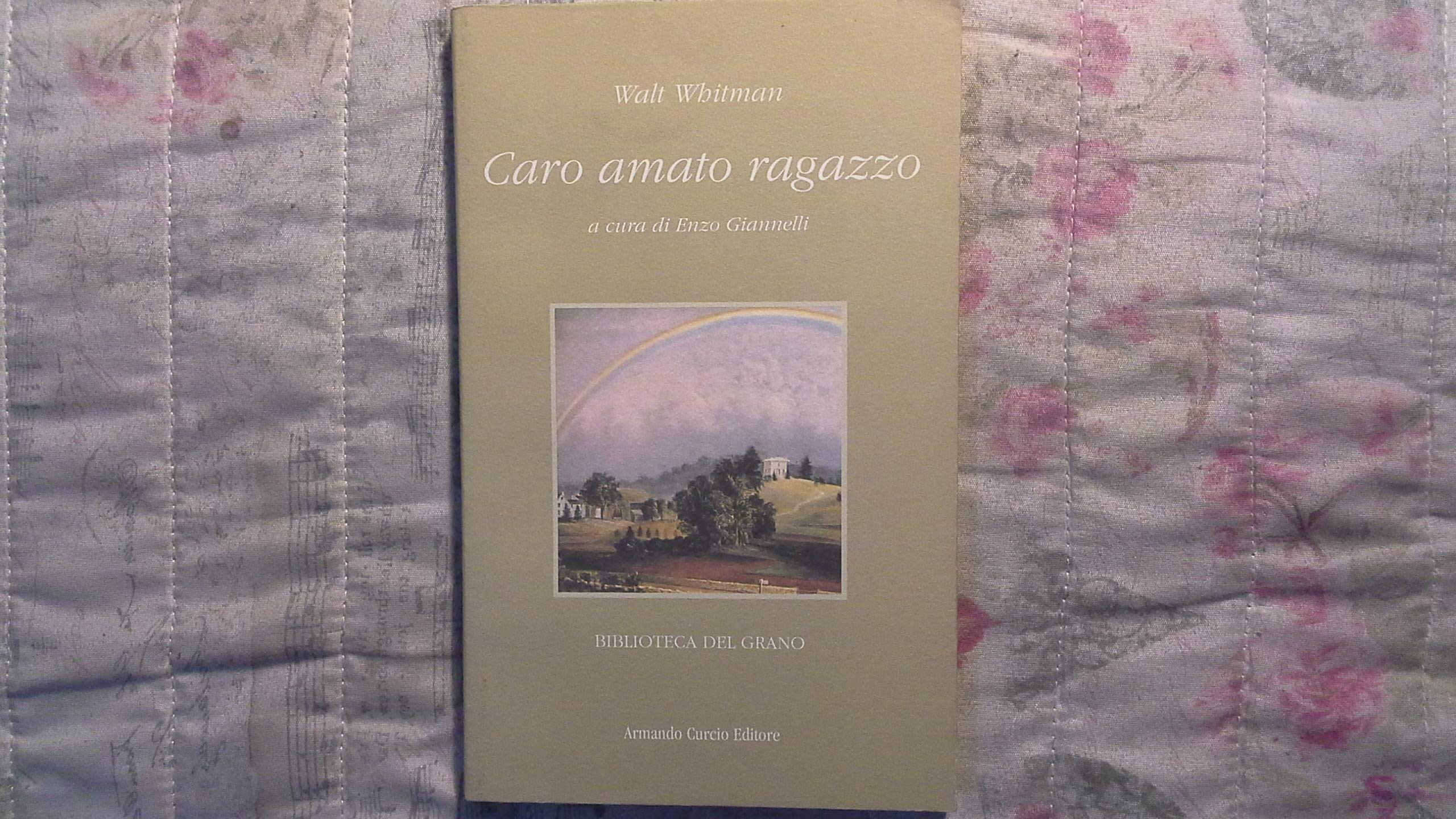 Caro amato ragazzo. Lettere d'amore a un giovane vetturino 1868-1880 (Biblioteca del grano) Essays & Short Stories